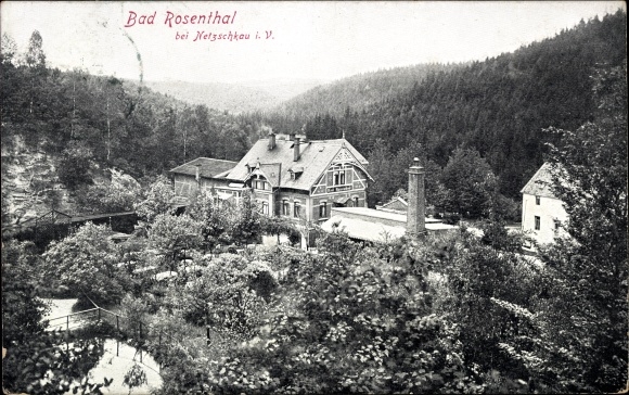 Ak Netzschkau im Vogtland, Bad Rosenthal, Waldlandschaft