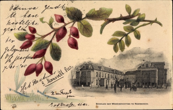 Postcard Nijmegen Gelderland, Schools of the Orphanage in Neerbosch, Moosbeeren, Libelle