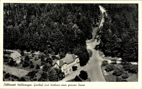 Postcard Hallwangen Dornstetten in the Black Forest Württemberg, aerial photograph, Gasthof zum grünen Baum, forest