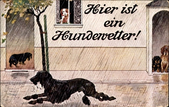 Artist Postcard Here is a dog weather, dogs in the rain, dachshund
