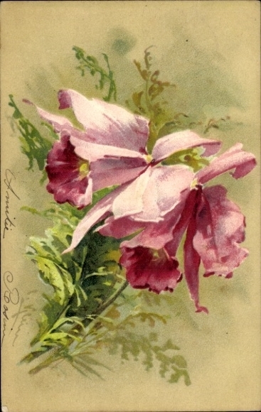 Artist Chromo-Litho Klein, C., Pink Flowers