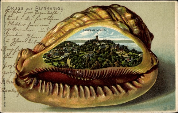 Embossed Shell Chromo-Litho Hamburg Altona Blankenese, Süllberg vom Bismarckstein