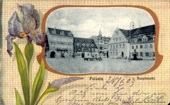 Passepartout Postcard Pulsnitz Saxony, main market
