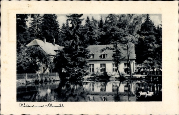 Ak Leopoldstal Lippe Horn Bad Meinberg, Waldrestaurant Silbermühle, Bes.Schäfer