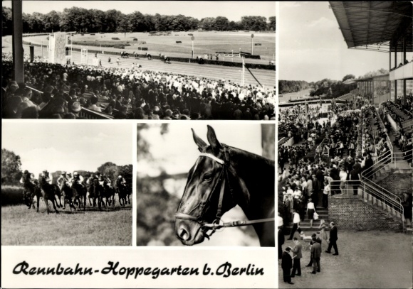 Postcard Hönow Hoppegarten Brandenburg, racecourse, horse racing