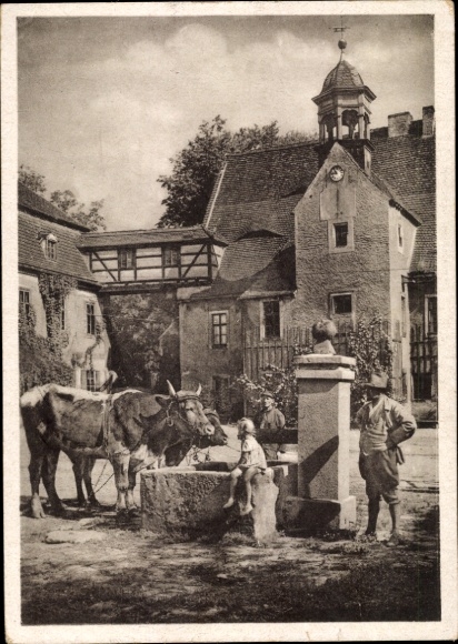 Ak Klipphausen in Sachsen, Brunnen, Rinder, Kirche, Fachwerk