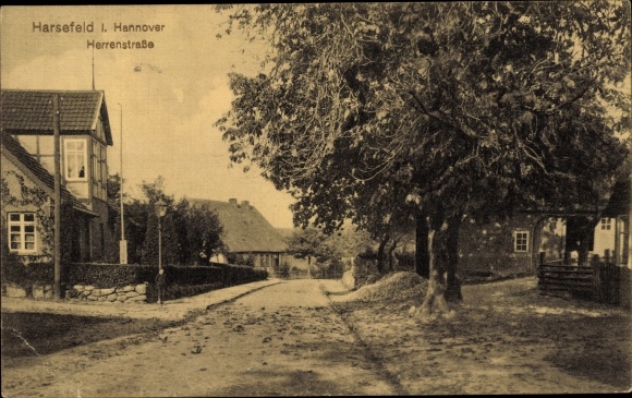 Ak Harsefeld in Nedersaksen, Herrenstrasse