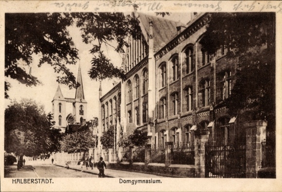 Postcard Halberstadt am Harz, Domgymnasium, old buildings, trees, sidewalk