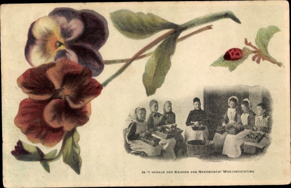 Postcard Niederlande, In the corner of the kitchen of Neerbosch Orphanage, Marienkäfer