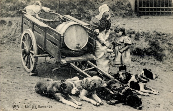 Postcard milk carts, working dogs, milk cans, Belgian costume