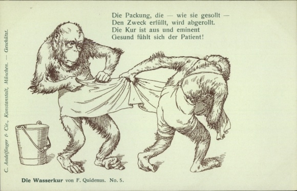 Kunstenaar Ak Quidenus, Fritz, The Water Cure No. 5, gehumaniseerde apen, roedel
