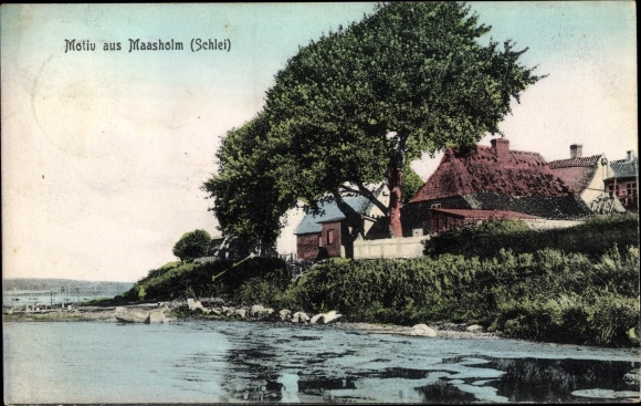 Ansichtkaart Maasholm in Sleeswijk-Holstein, Schleipartie, huizen