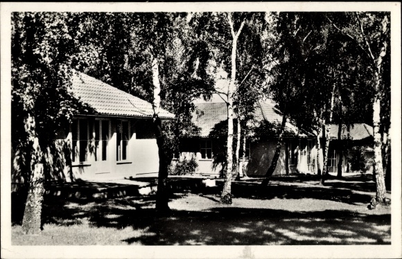 Photo Postcard Wustermark in Brandenburg, Olympic village, houses in the birch forest