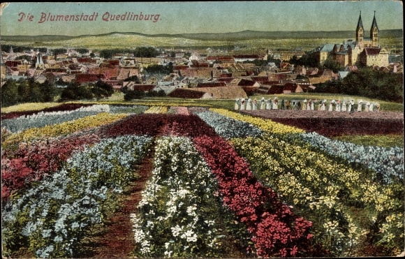 Postcard Quedlinburg im Harz, view of flower beds and the city