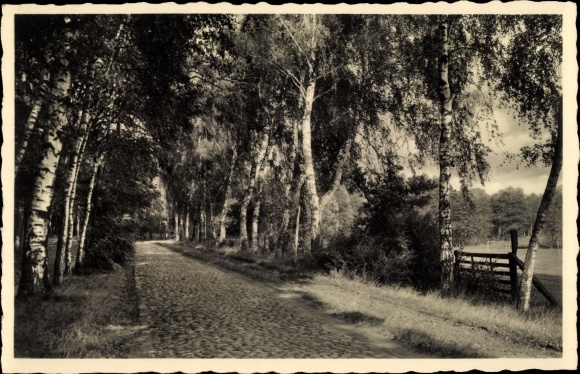 Postcard Pritzwalk in the Prignitz, Hainholz Promenade