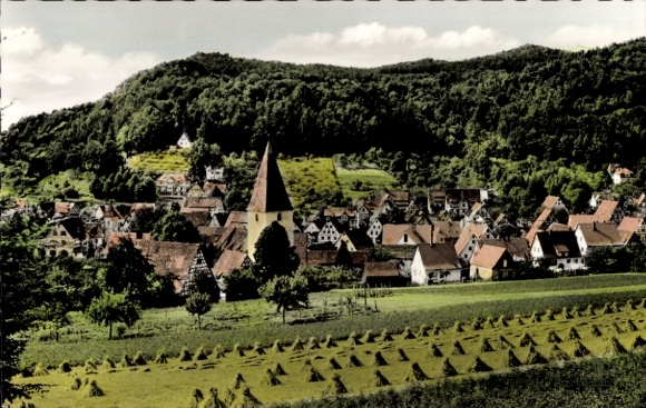 Ak Eschenbach Pommelsbrunn im Pegnitztal Mittelfranken, Mehrere Gebäude, dahinter ein bewaldet...