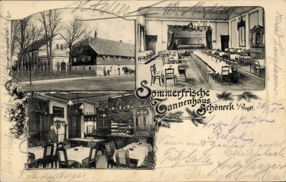 Ak Schöneck im Vogtland, Sommerfrische Tannenhaus, Saal