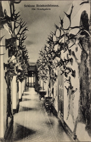 Postcard Reinhardsbrunn Friedrichroda in the Thuringian Forest, Deer Gallery in the Castle