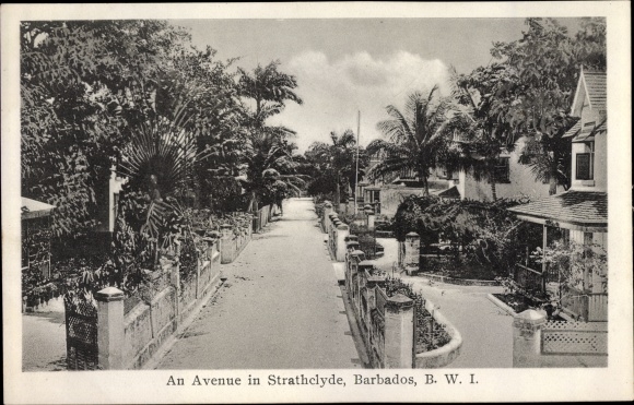 Postcard Bridgetown Barbados, Strathclyde, An Avenue