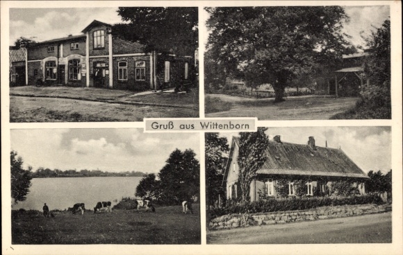 Postcard Wittenborn in Schleswig Holstein, partial views, shop, building