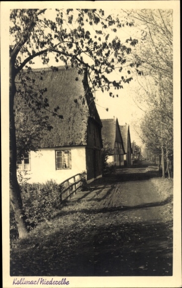 Foto Ak Kollmar in Schleswig Holstein, Weg entlang Siedlingshäuser