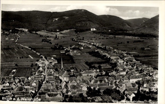 Ak Rhodt an der Weinstraße Rhodt unter Rietburg in der Pfalz, Luftaufnahme, Weingüter, Dorfansich