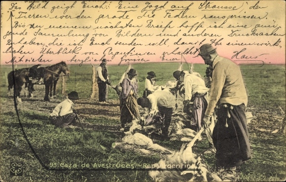 Postcard ostrich farm in Argentina, hunted animals