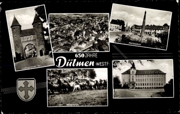 KP Dülmen w Münsterland Westfalia, widok całkowity, herb, Marienplatz, szkoła średnia, dzikie konie