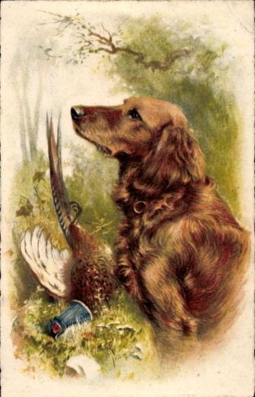 Artist Postcard hunting dog with killed pheasant