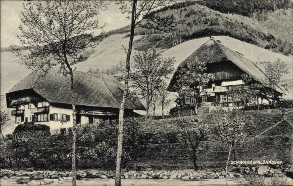 Ak Schwarzwald, Schwarzwaldhäuser