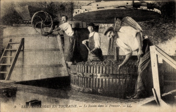 CPA Les Vendanges en Touraine, Le Raisin dans le Pressoir