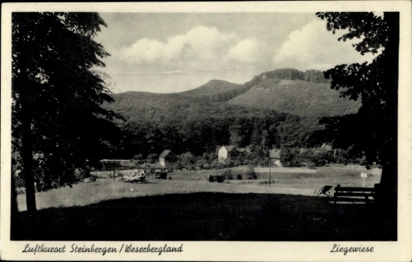 Postcard Steinbergen Rinteln on the Weser, lawn