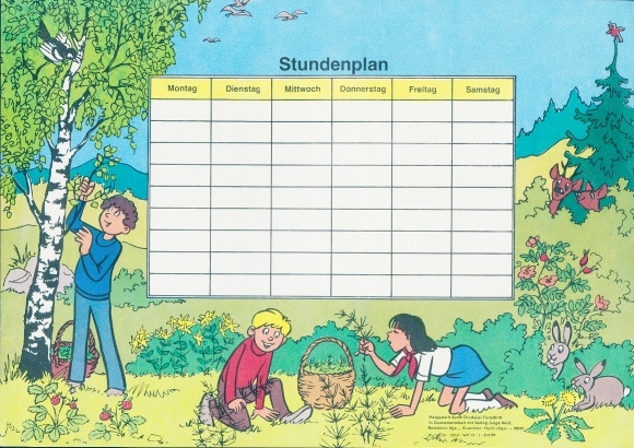 Timetable advertising, children collect herbs, flowers, leaves