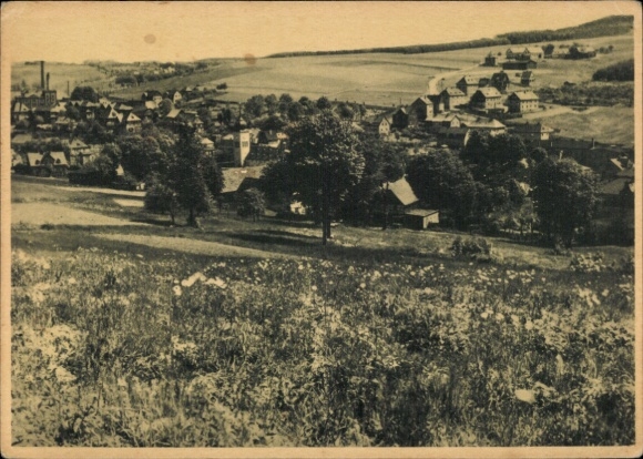 Postcard Wernesgrün Steinberg in the Vogtland, view of summer resort, winter sports area, Prof. Andre...