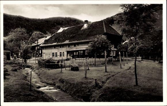Ak Bernau im Schwarzwald, Bernauer Hof, Gasthaus und Pension