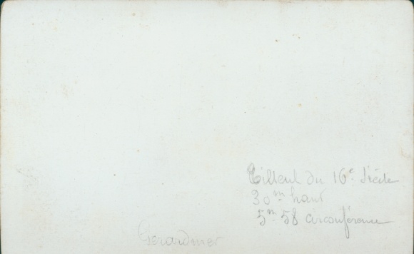 Cabinet photo Gérardmer Lorraine Vosges, street section with hotel