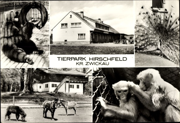 PC Hirschfeld in Saxony, zoo, consumer restaurant Bärenschenke