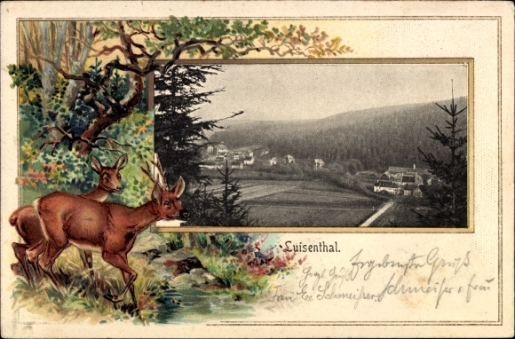 Präge Passepartout Ak Luisenthal im Thüringer Wald, Panorama, Rehe