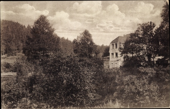 Postcard Altenbrak Thale im Harz, Pension Villa Rosa