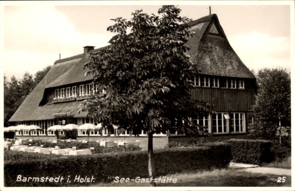 Ak Barmstedt in Holstein, restaurant aan het meer, huis met rieten dak, terras