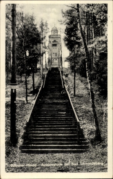 Ak Bad Schmiedeberg (Bezirk Halle) Dübener Heide, Aussichtsturm, Treppe, Bäume, Schwarz-Weiß-Foto