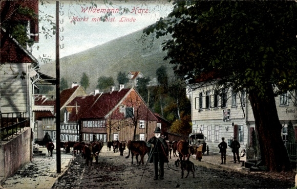 PC Wildemann Clausthal Zellerfeld in the Upper Harz, market, linden tree, passers-by