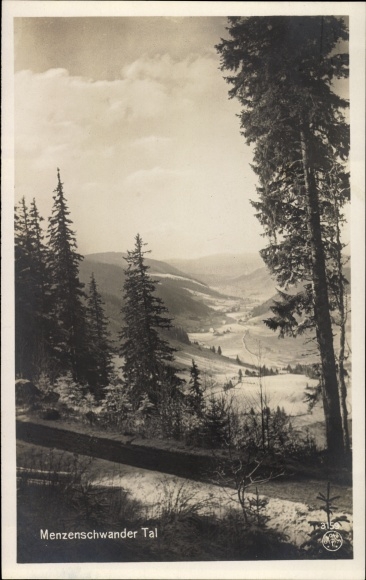 Ak Menzenschwand Häusern Schwarzwald, Menzenschwander Tal, Feldberg