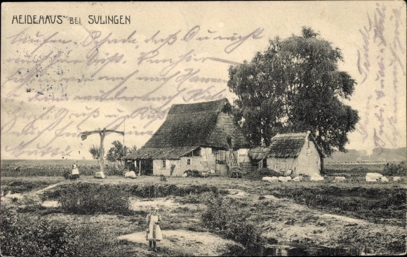 Postcard Schollen in Lower Saxony, Heidehaus