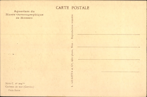 Postcard Monaco, Oceanographic Museum Aquarium, Sea Crow, Corvina