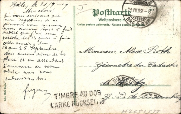 Postcard Basel Bâle City Switzerland, Zoological Garden, Zebra