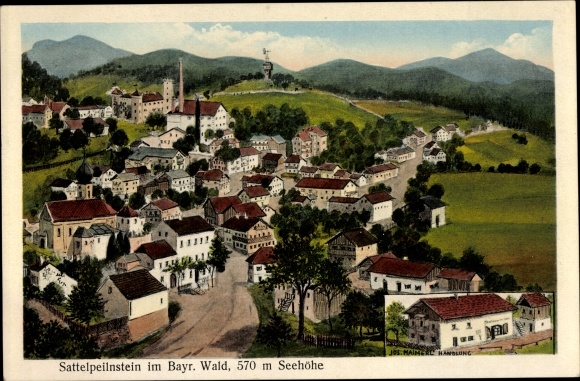 Künstler Ak Sattelpeilnstein Traitsching im Bayerischen Wald, Gesamtansicht