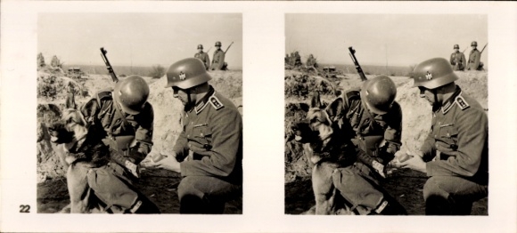 Stereo Raumbild Foto "Der Kampf im Westen" Nr. 22, Meldehund wird Meldung umgehängt