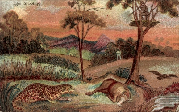 Postcard hunter aims his rifle at a leopard, hunting scene