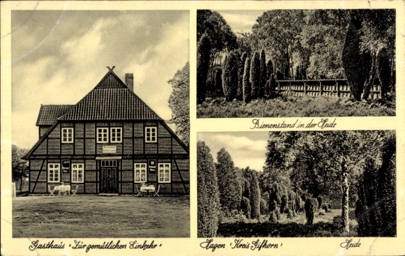 Ak Hagen Wittingen Niedersachsen, Gasthaus zur gemütlichen Einkehr, Bienenstand in der Heide